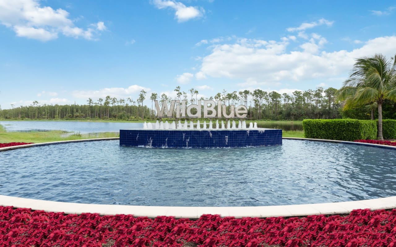 Wild Blue | Neighborhood Guide