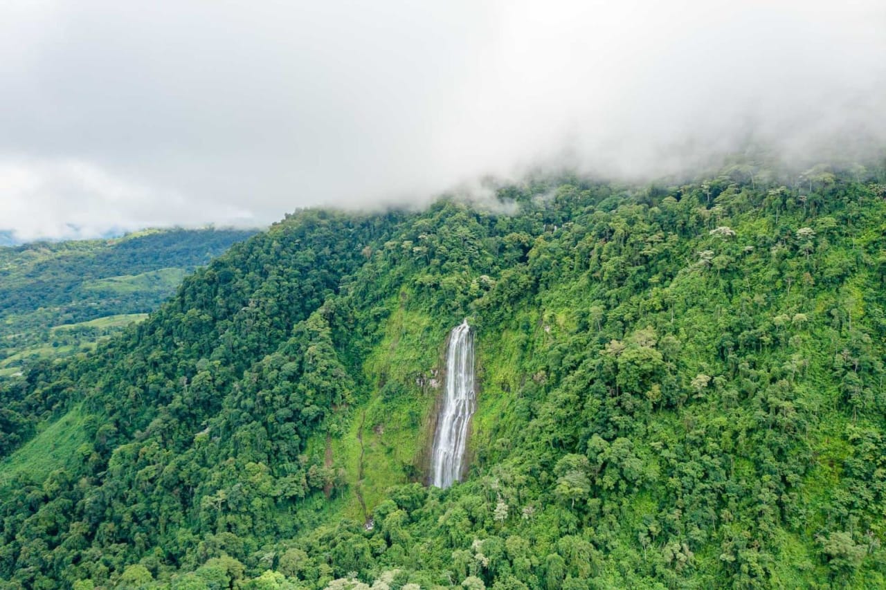 Diamante Waterfall Farm