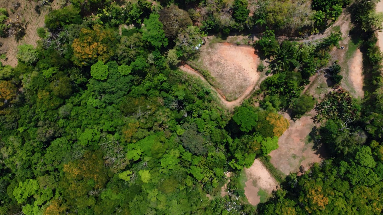 2 Acres of Paradise in Platanillo with Legal Water.