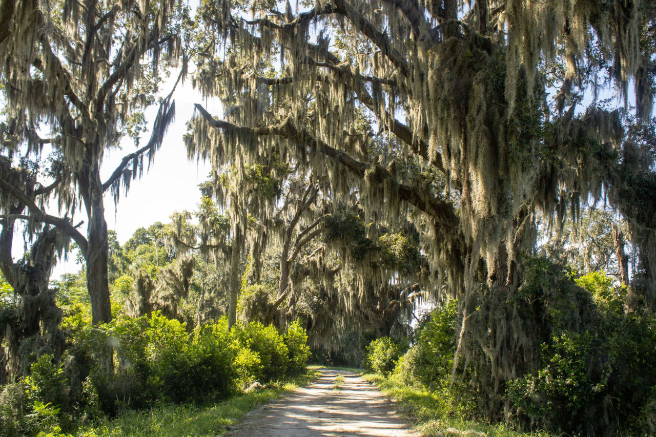 Hilton Head Plantation