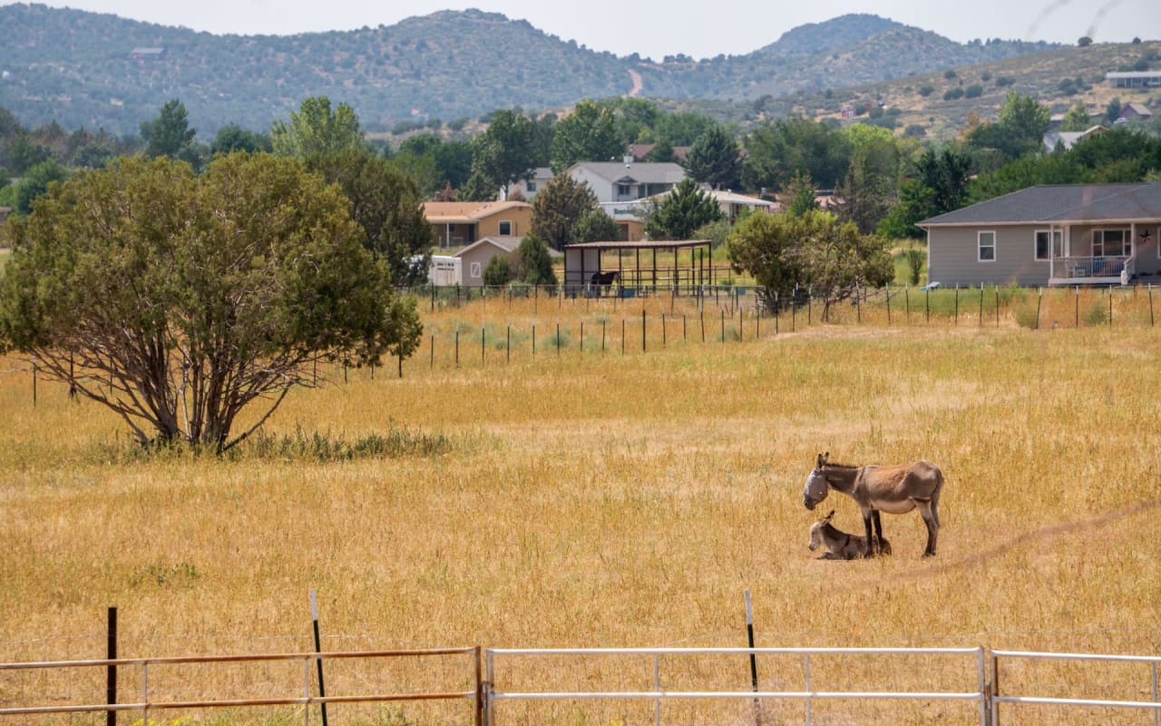 Chino Valley