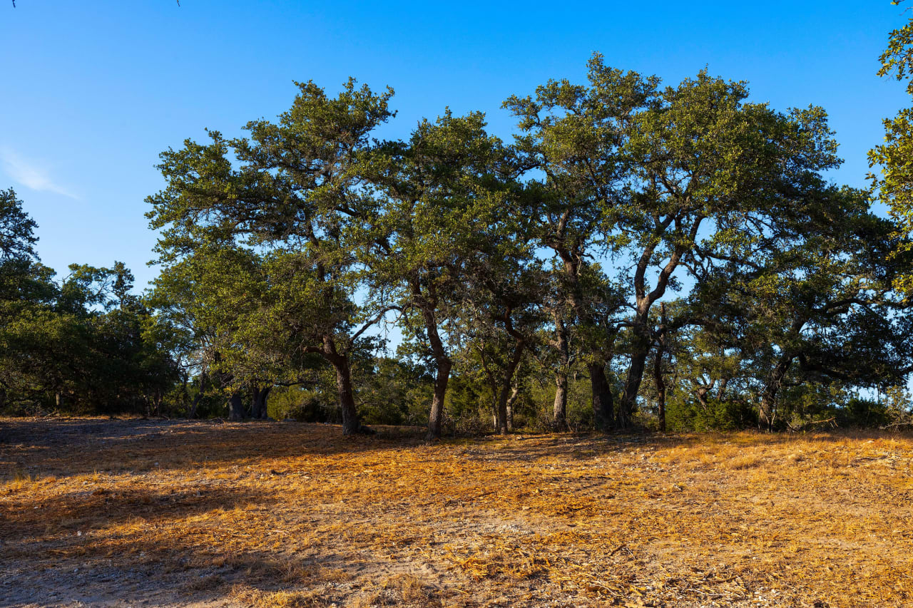 18 +/- acres | Comal County, Tx | SPRING BRANCH Ranchette