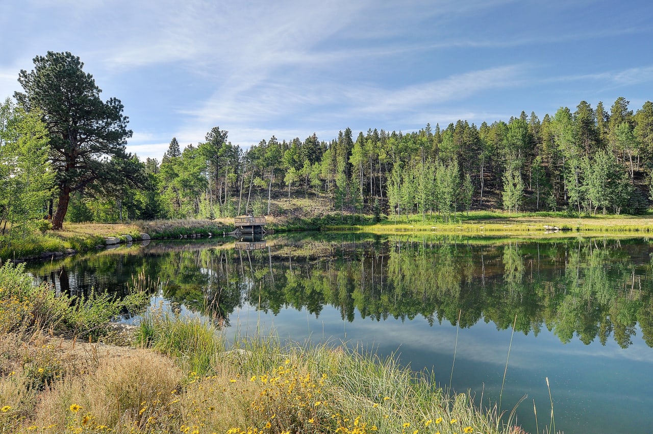 Chaffee County