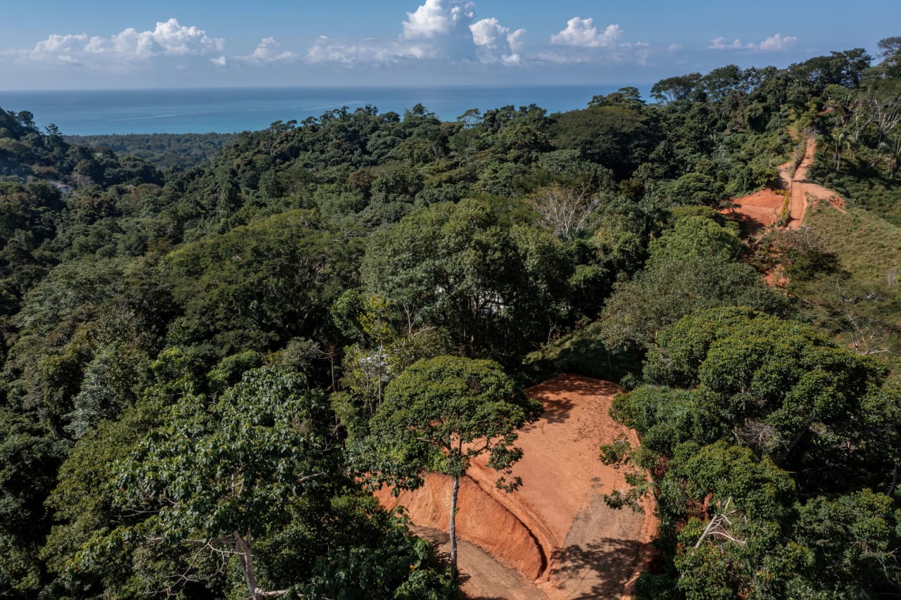 Unique Ocean View Property 7 minutes to Dominical Beach