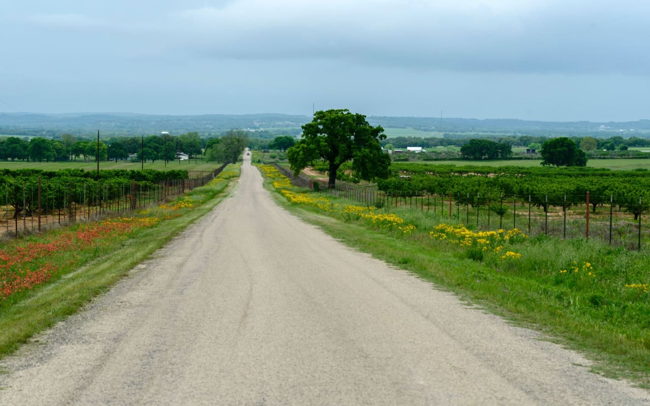 Fredericksburg