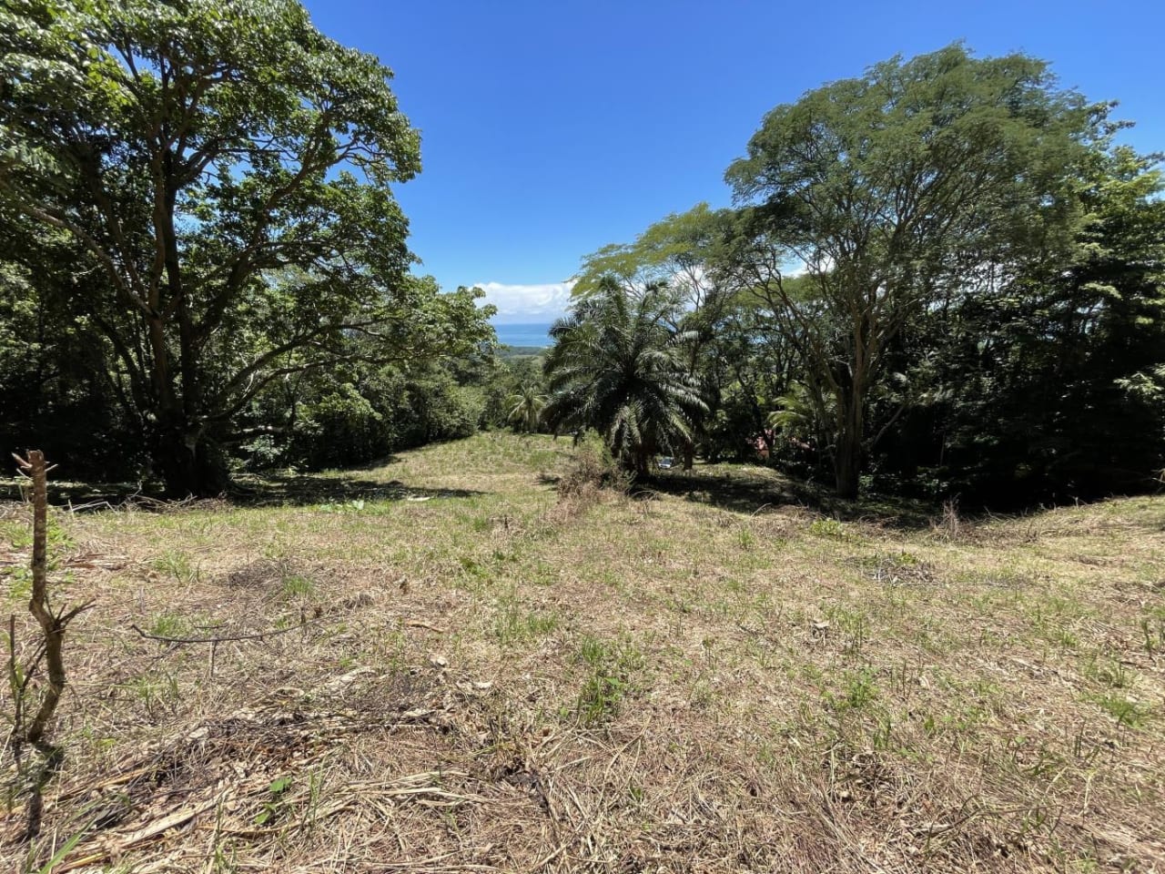 5.4 Acres, Amazing Ocean View Acreage With Multiple Building Sites!!!