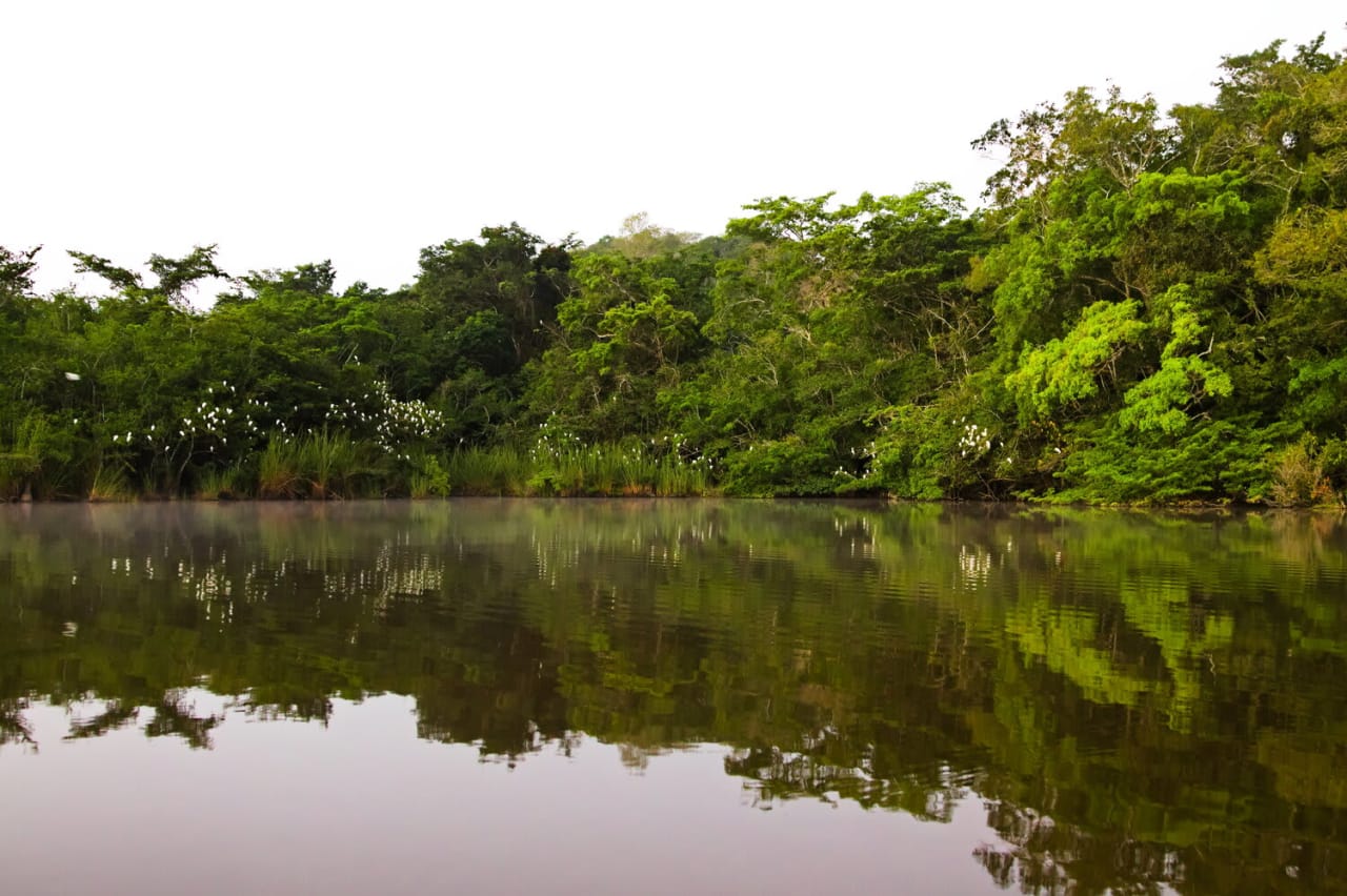 100 plus acre waterfront property on the east shores of Kate's Lagoon 