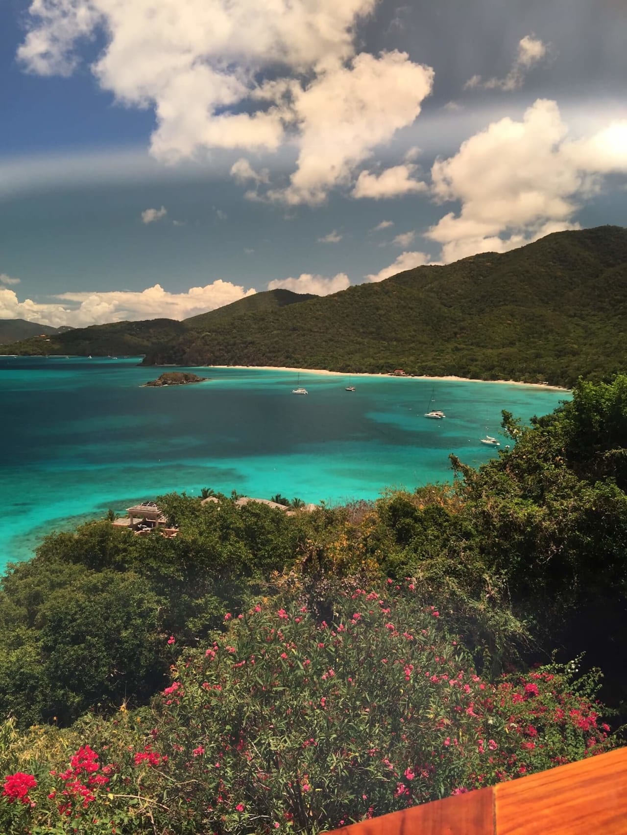 A scenic view of a tropical bay from a wooden deck, with colorful flowers and lush greenery in the foreground