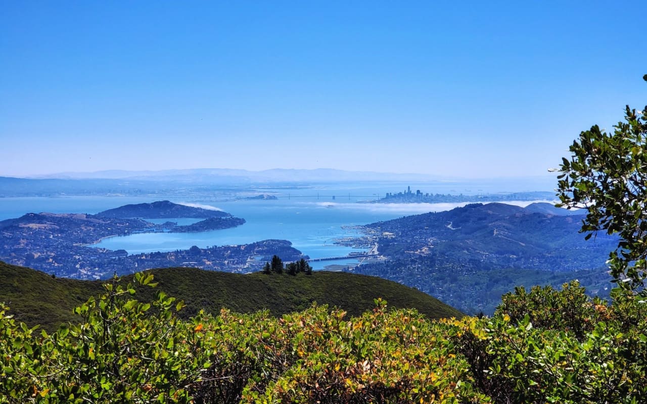 A Local's Guide on Things to Do in Mill Valley