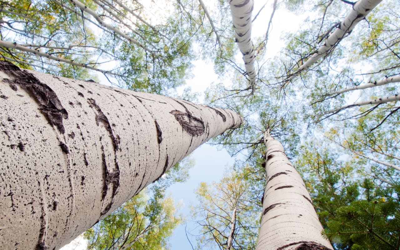 Vail Neighborhood Guide The Vail Luxe Group Vail Real Estate Agents