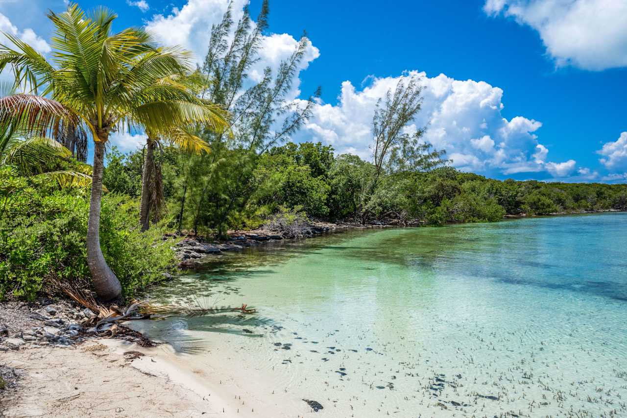 Bahamas Alabama Real Estate Davis Realty and Auction