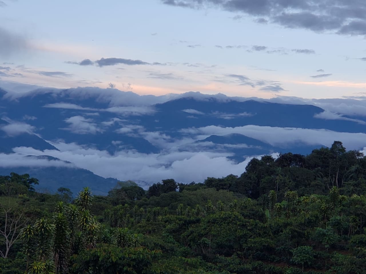 Finca Río General in Santa Luisa