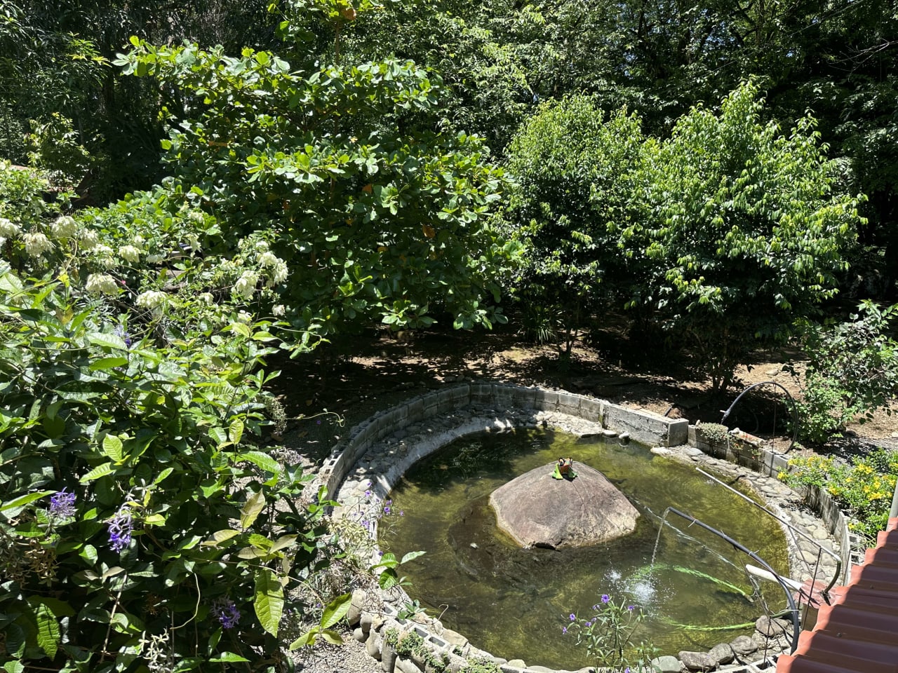 Private Oasis Near Manuel Antonio National Park