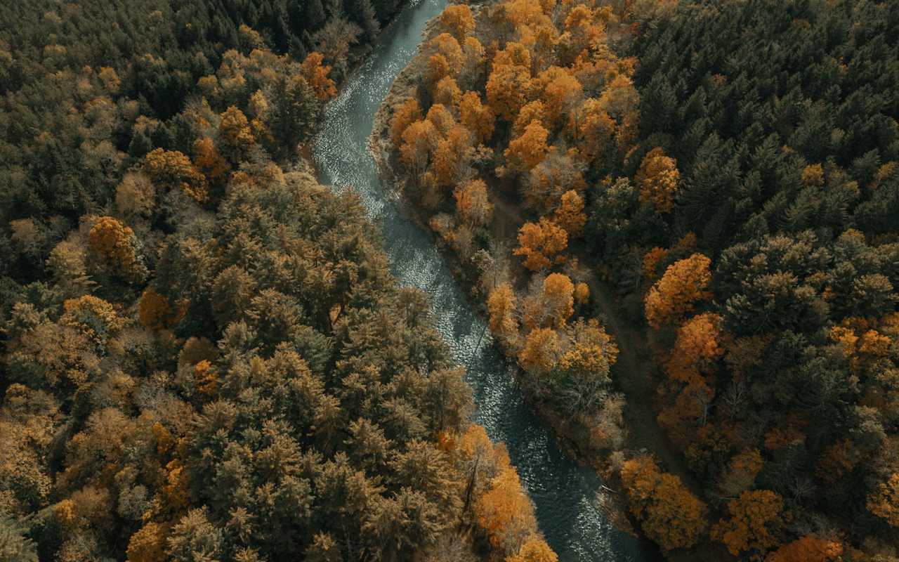 Berardi Realty Kingston New York Real Estate Agents