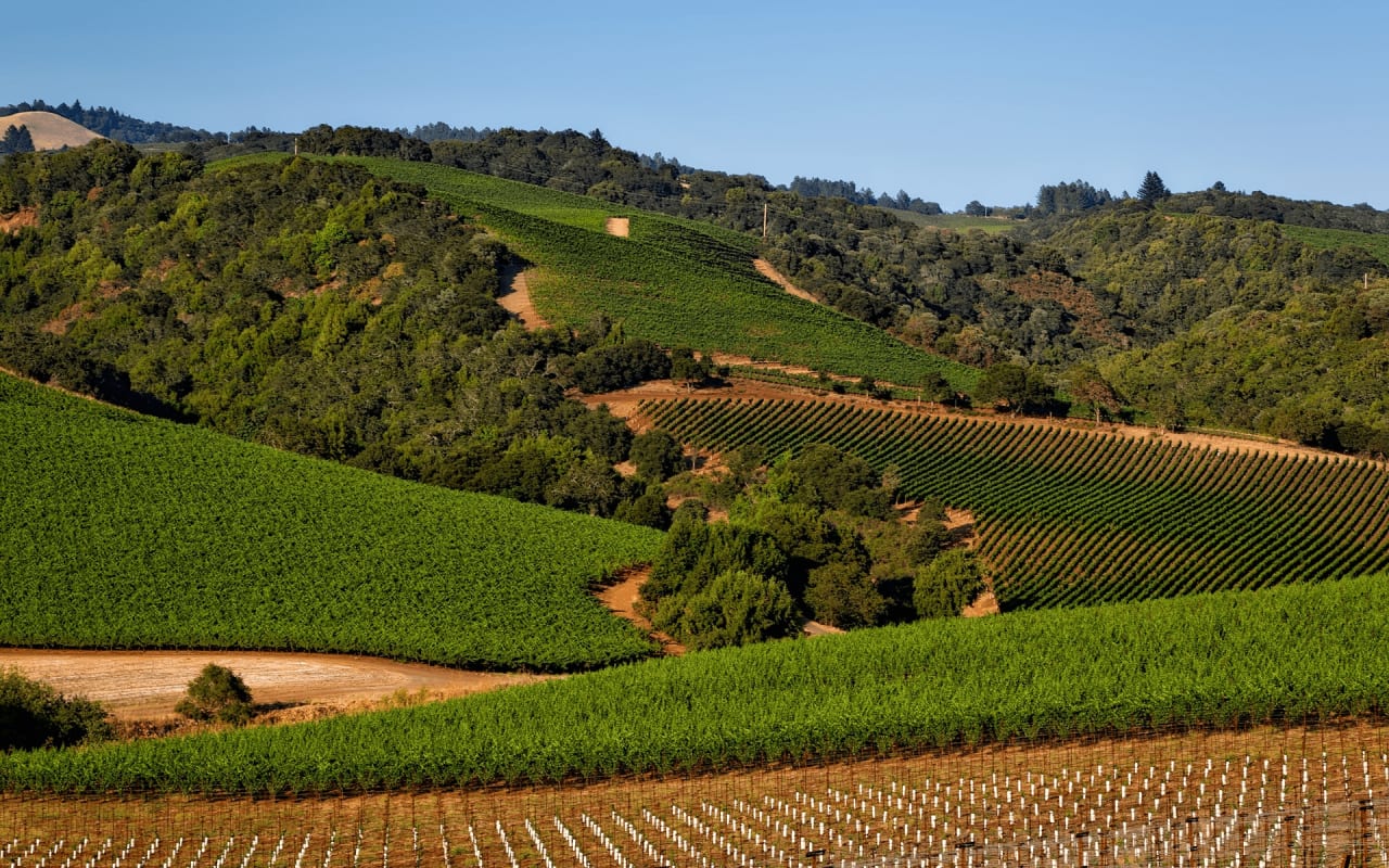 Top 5 Reasons to Make Sonoma County Your Home