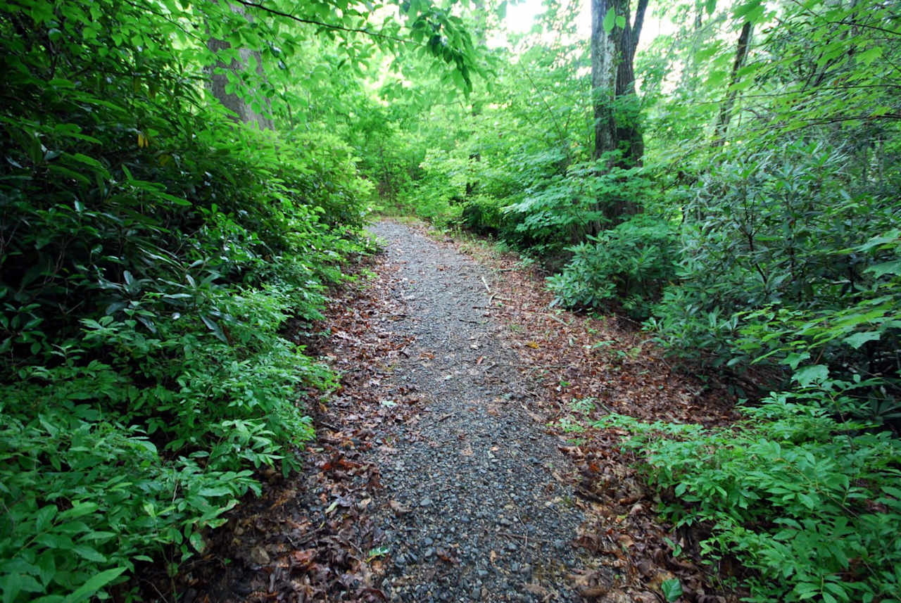 Sylvan Heights