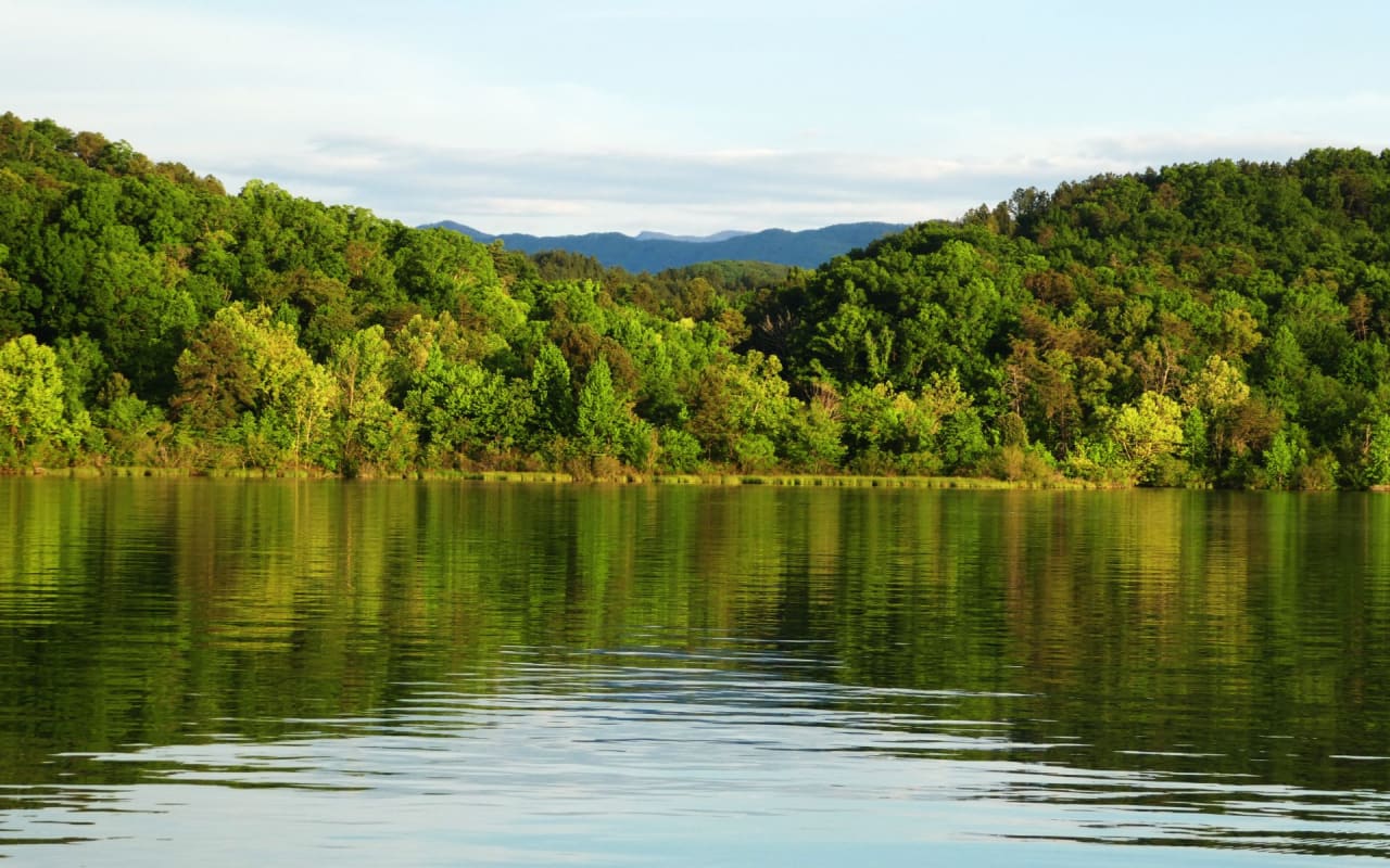 Lake Tansi Village