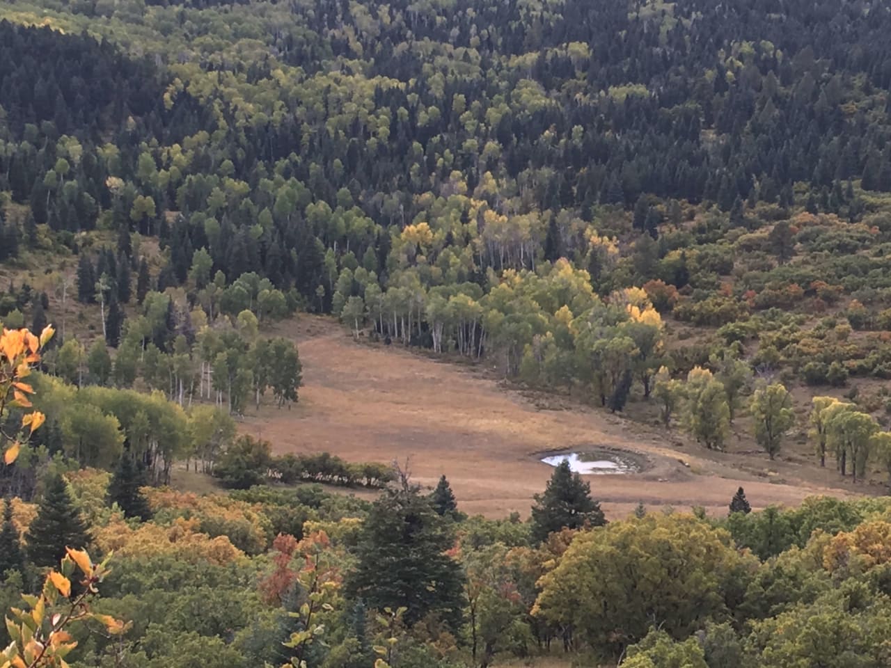 Southern Colorado Riverfront Mountain Ranch