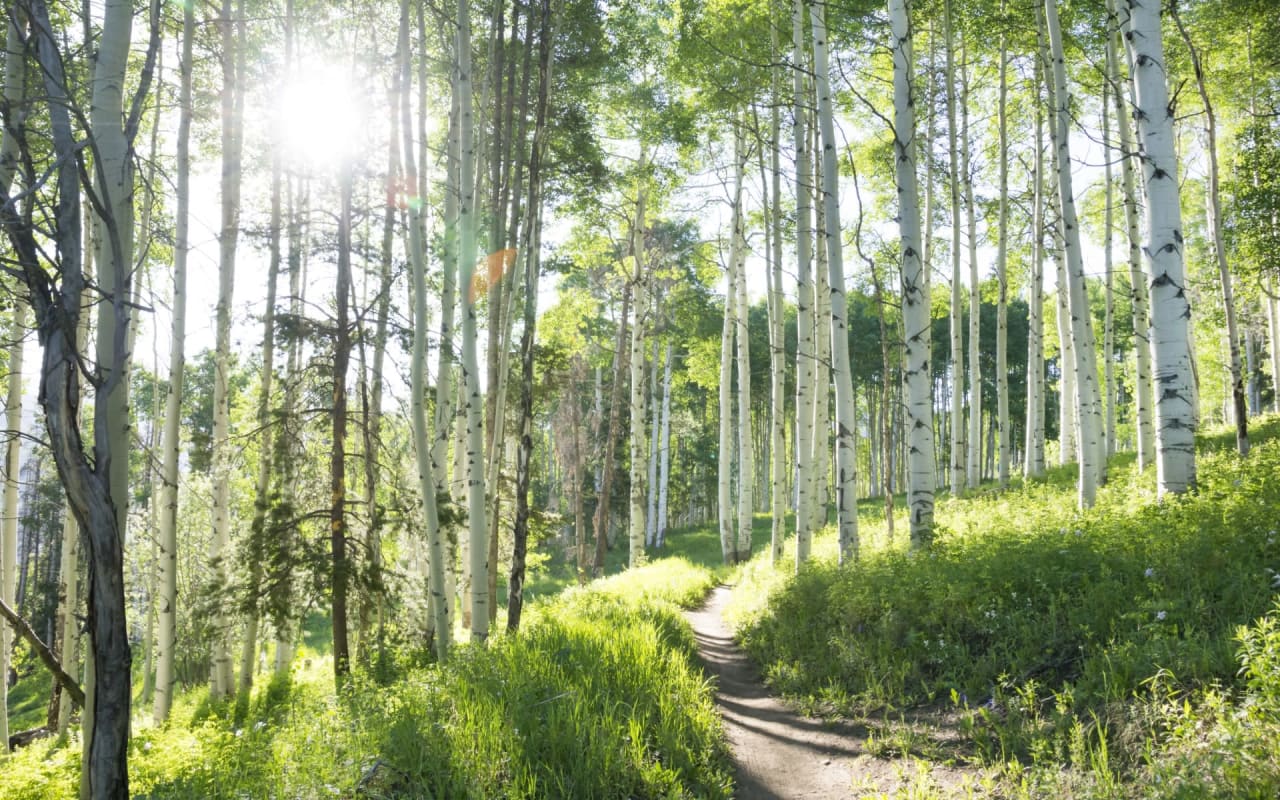 The Best Summer Recreation in Vail