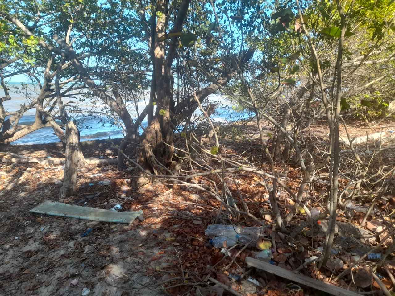 Charming 1.6 acre Caribbean Beachfront peninsular in Dangriga Town, Belize