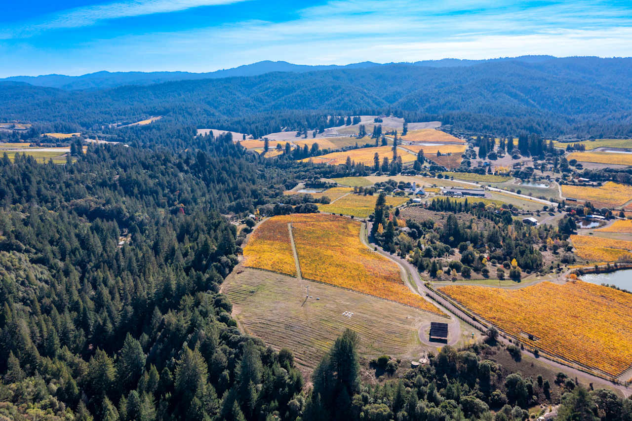 Anderson Valley, Vineyard Kevin McDonald