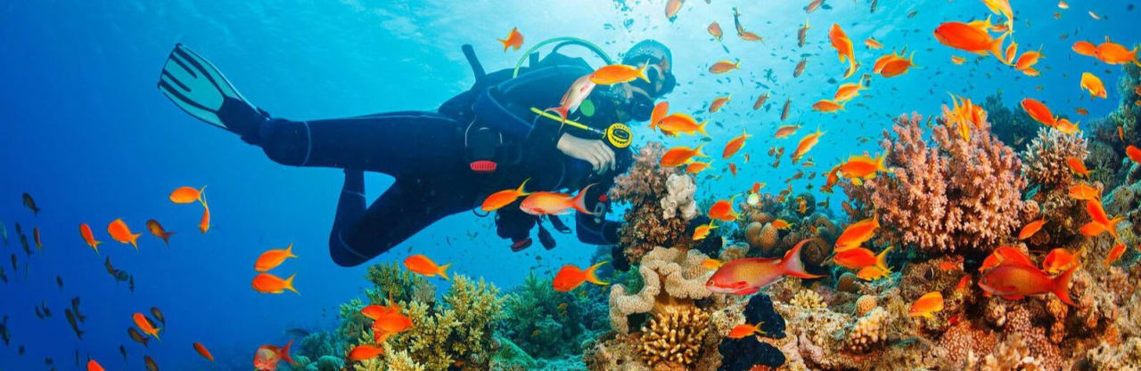 The ultimate scuba diving and saltwater anglers paradise