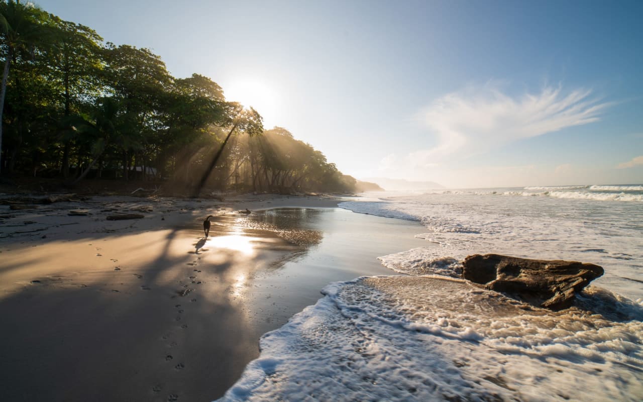 Kealakekua