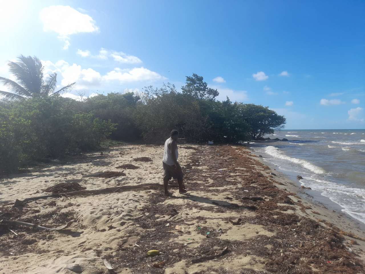 Charming 1.6 acre Caribbean Beachfront peninsular in Dangriga Town, Belize