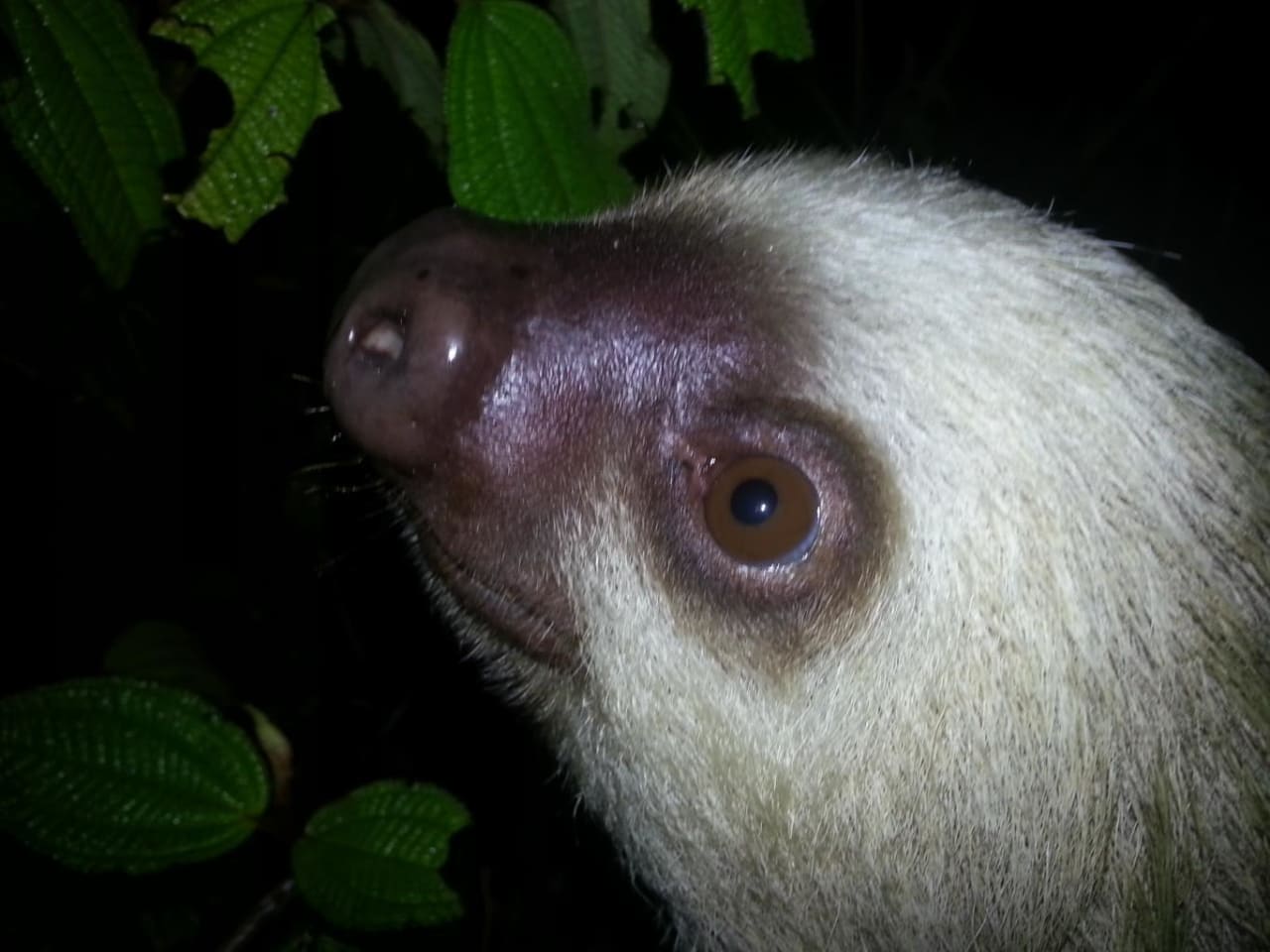 View of Untitled Image