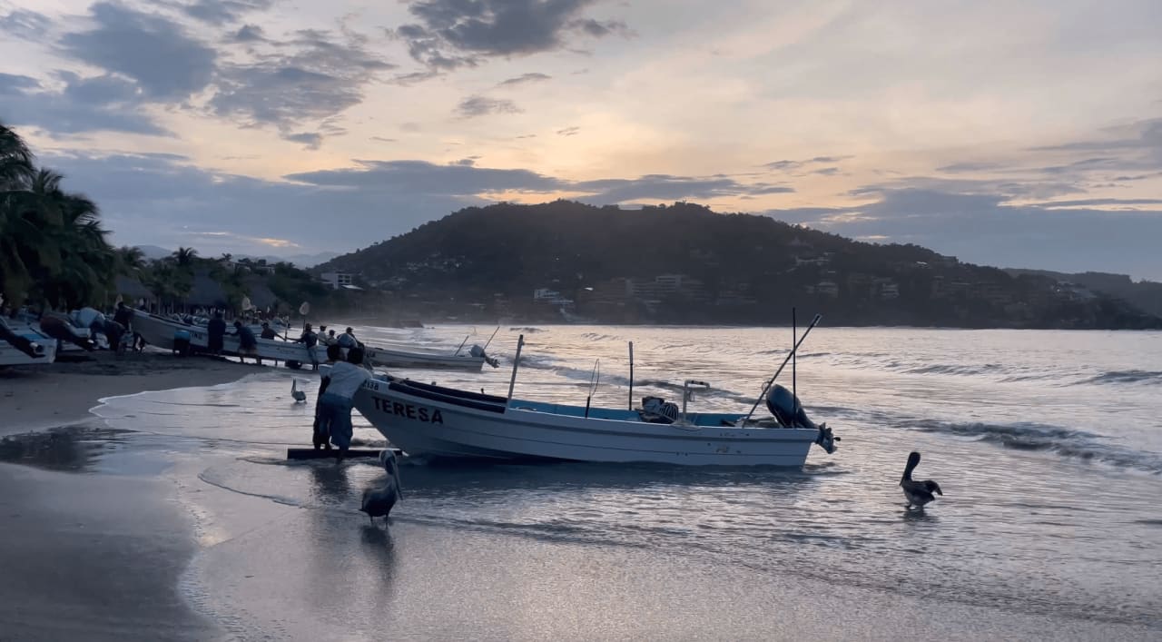 Why Zihuatanejo Facts Live Real Estate Guerrero Real Estate Experts