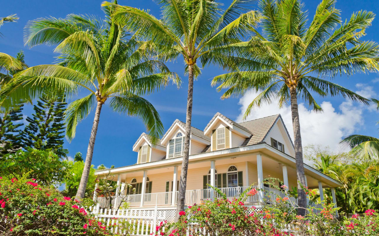 Ka'anapali Ali'i