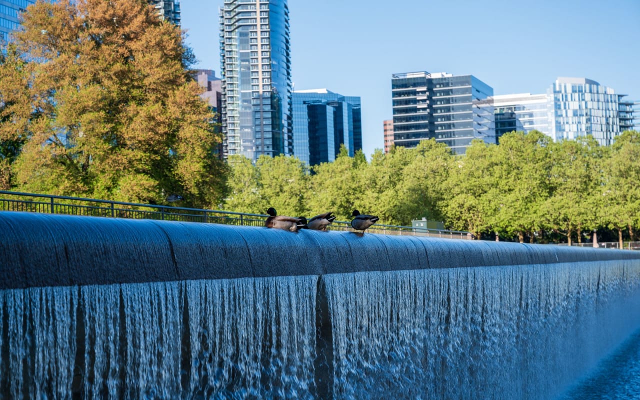 $6,000,000 Penthouse Goes Pending In Bellevue, 8 Days On Market