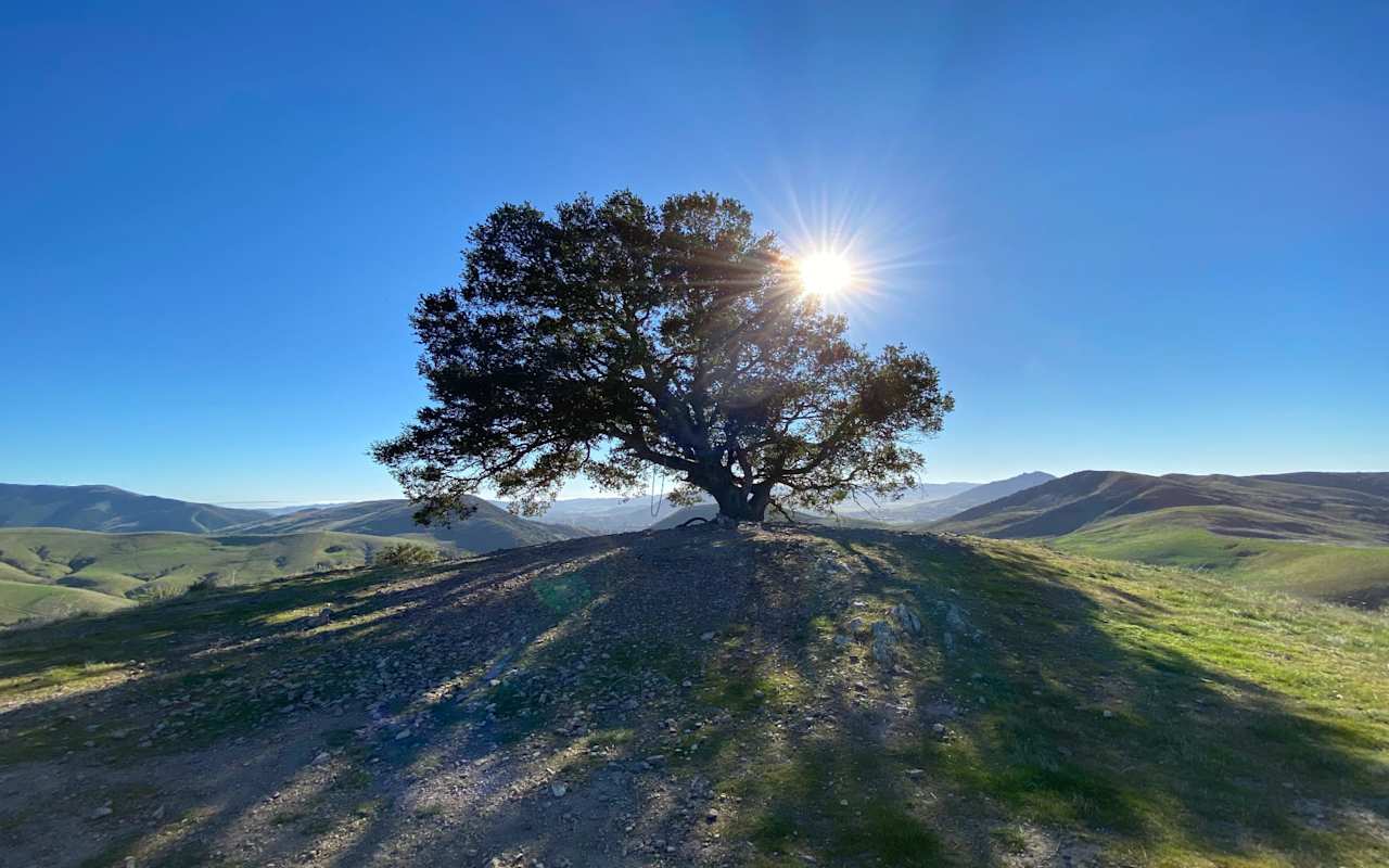 San Luis Obispo Real Estate