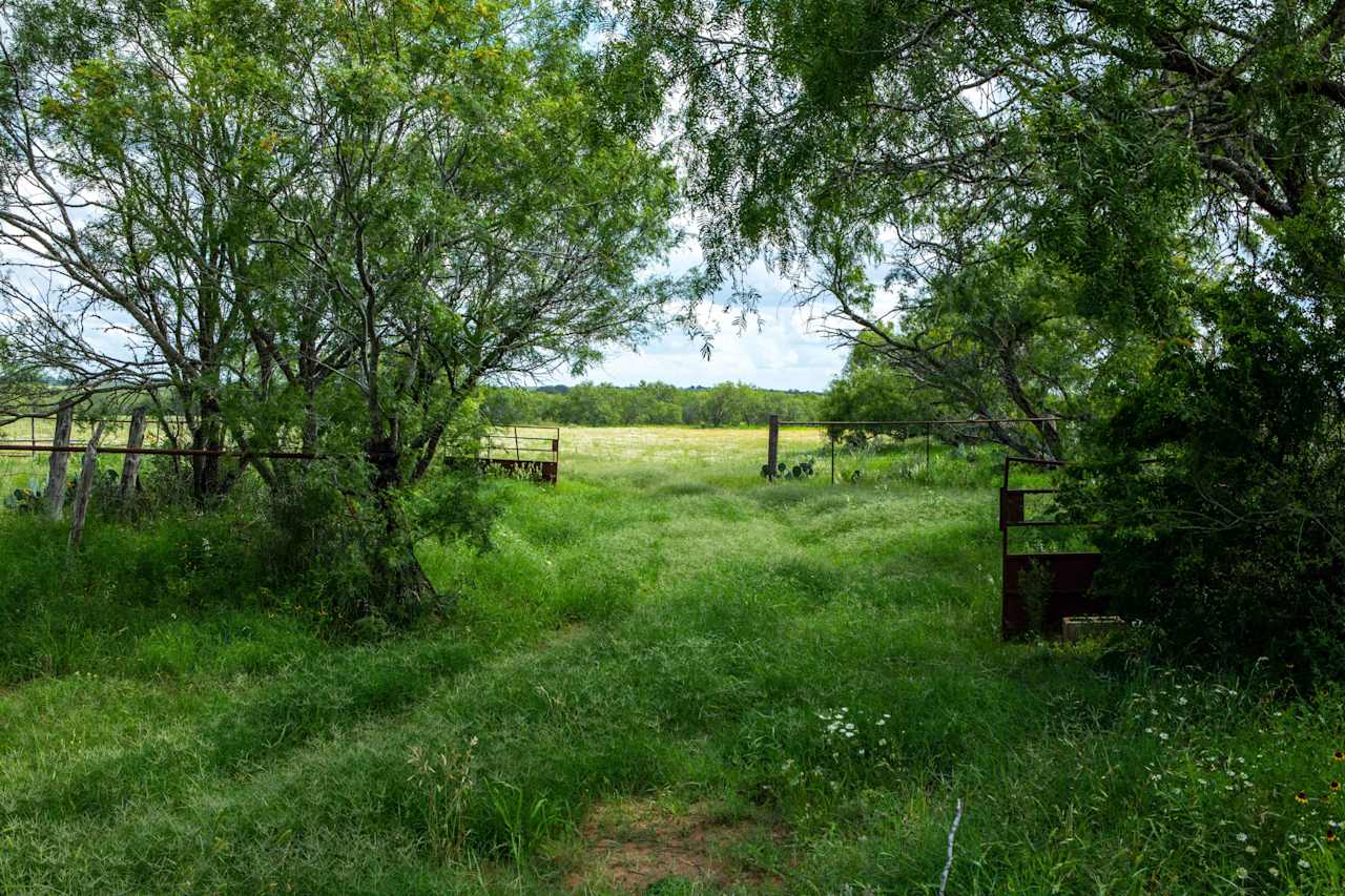133 Acres, 2613 CR 124
