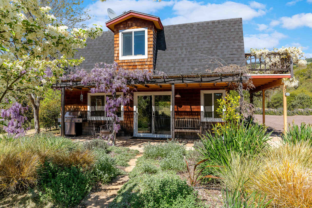 The C Ranch | Kevin McDonald