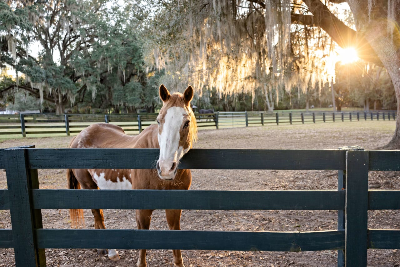 Hope Ranch