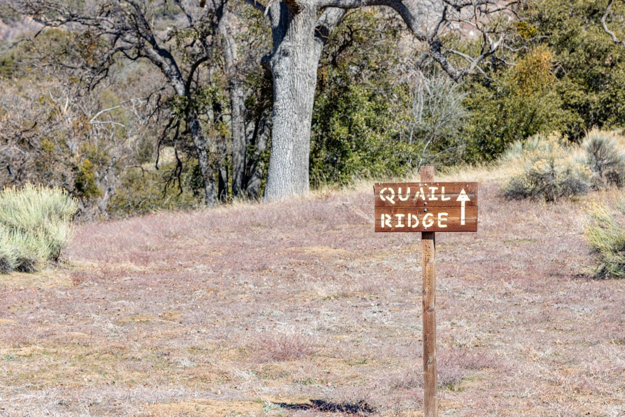 HORSE & HIKING TRAILINGS