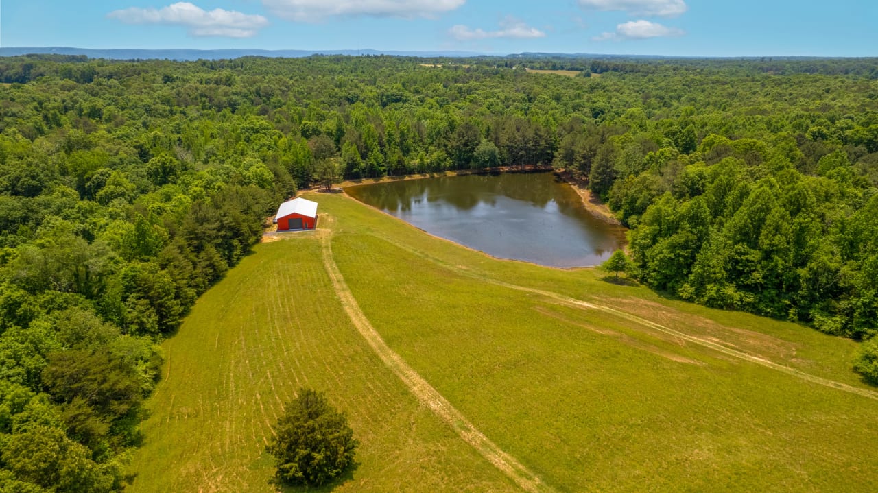 Henegar Alabama Land Auction 