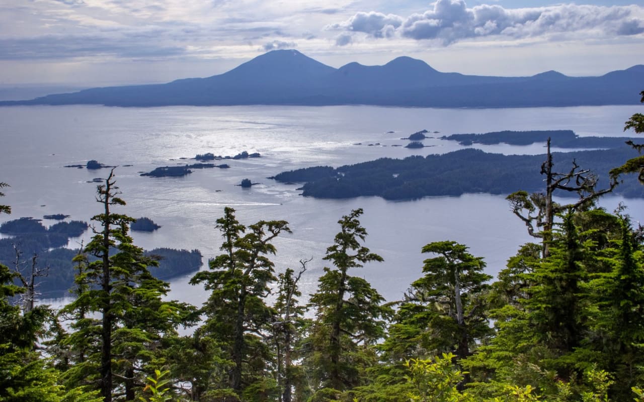 Suzanne Marina Jasso Sitka Real Estate Agent