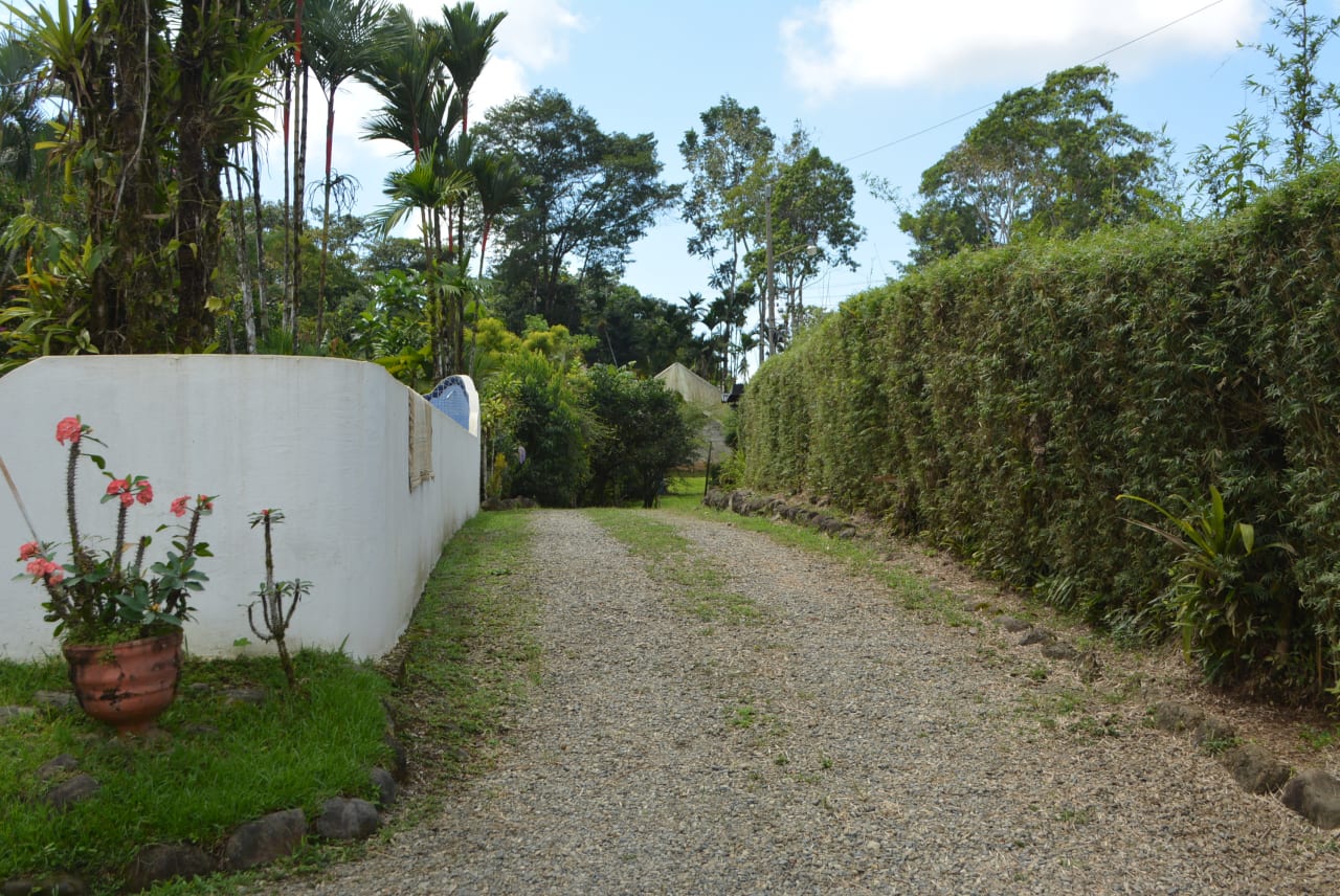 Platanillo 3 Bedroom home with Swimming Pool on 2 Acres