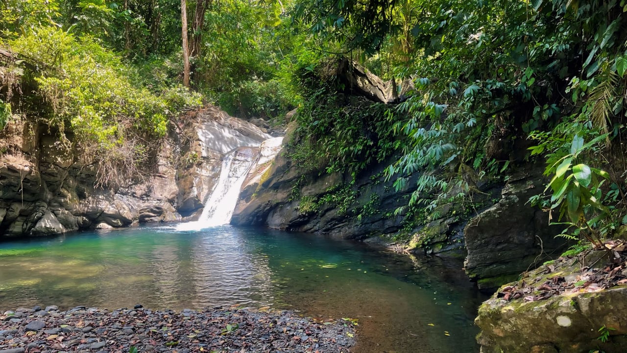 Finca Cerro del Tigre!   Over 20 Acres of Primary Forest and  Waterfalls. 