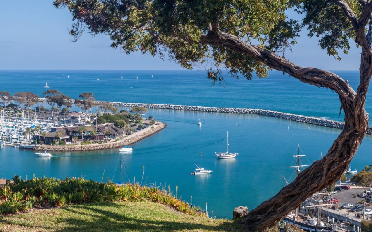 Yoga - Dana Point Harbor