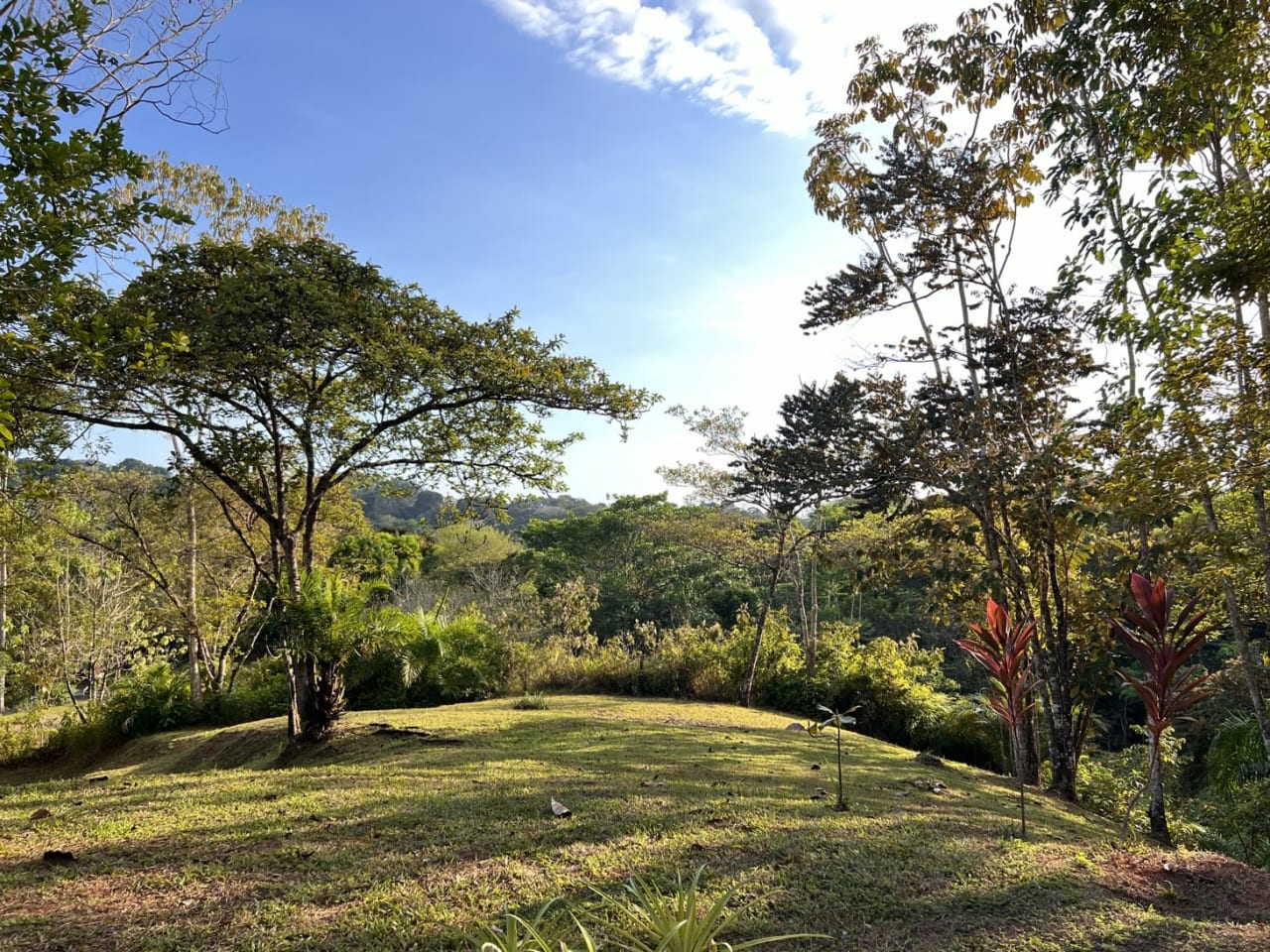 Modern Three-Bedroom Home On 6+ Acres