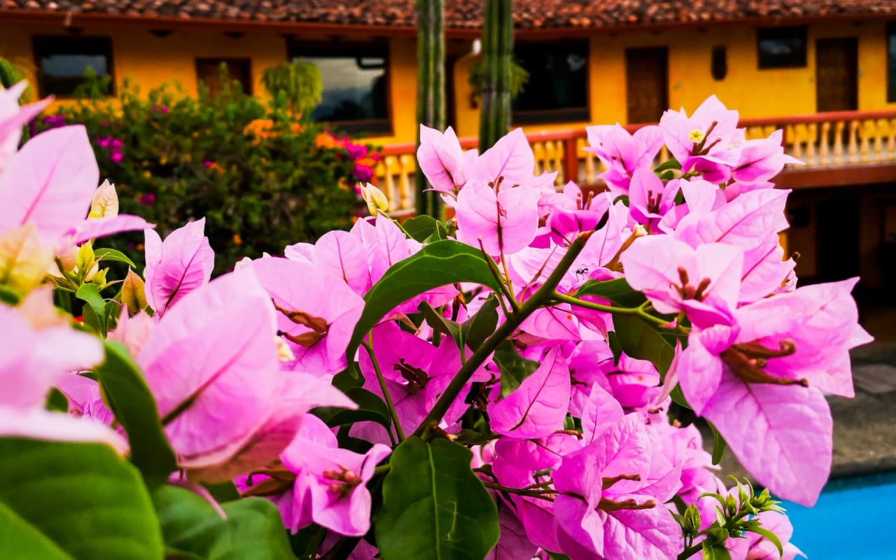 Everything You Need To Know About Moving To San Jose Costa Rica Blog