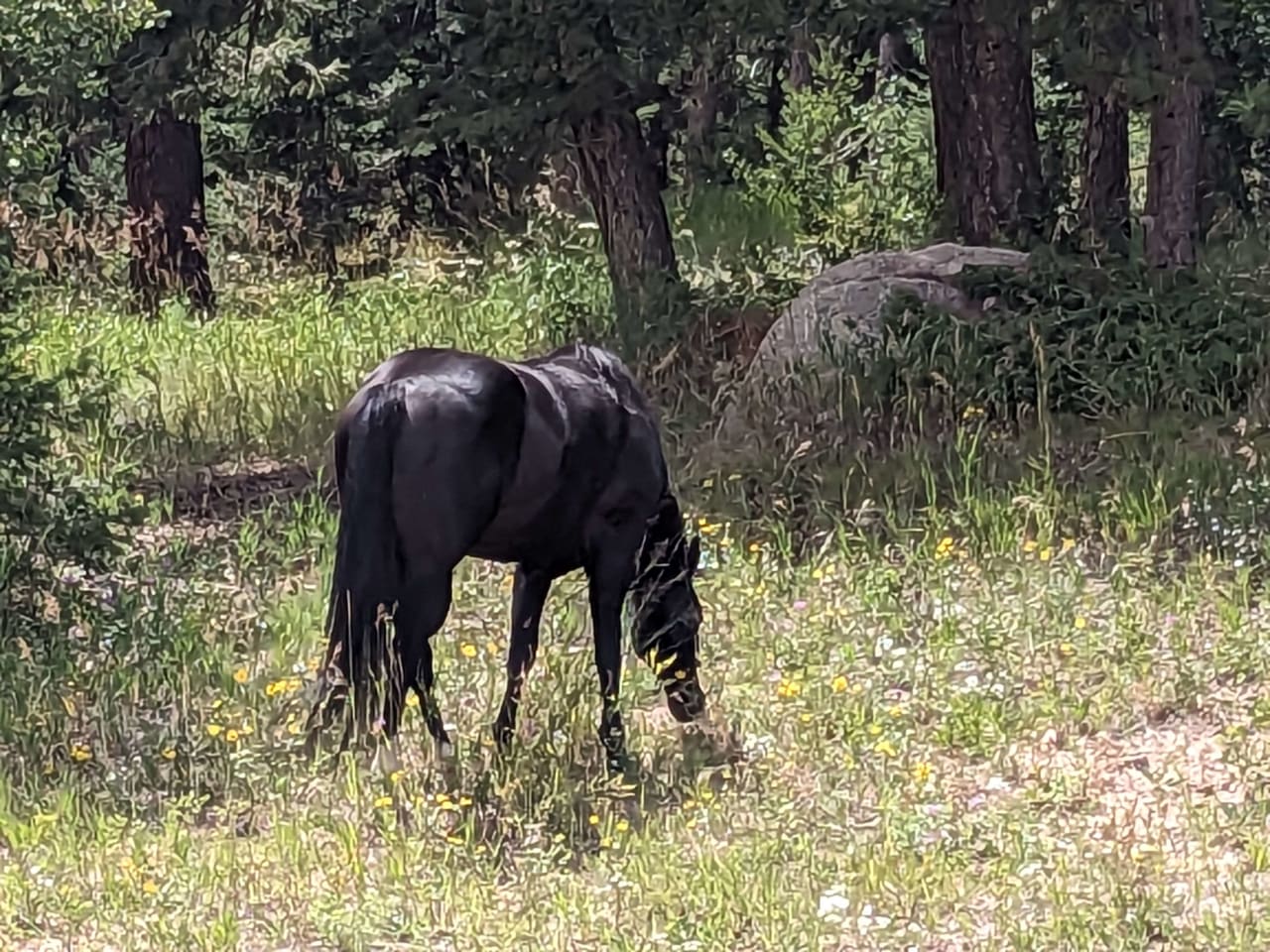 Doubleheader Ranch