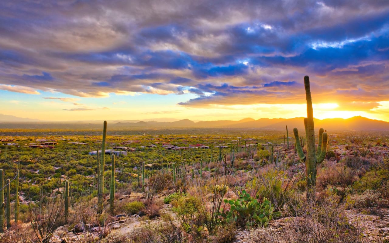 Pima Canyon