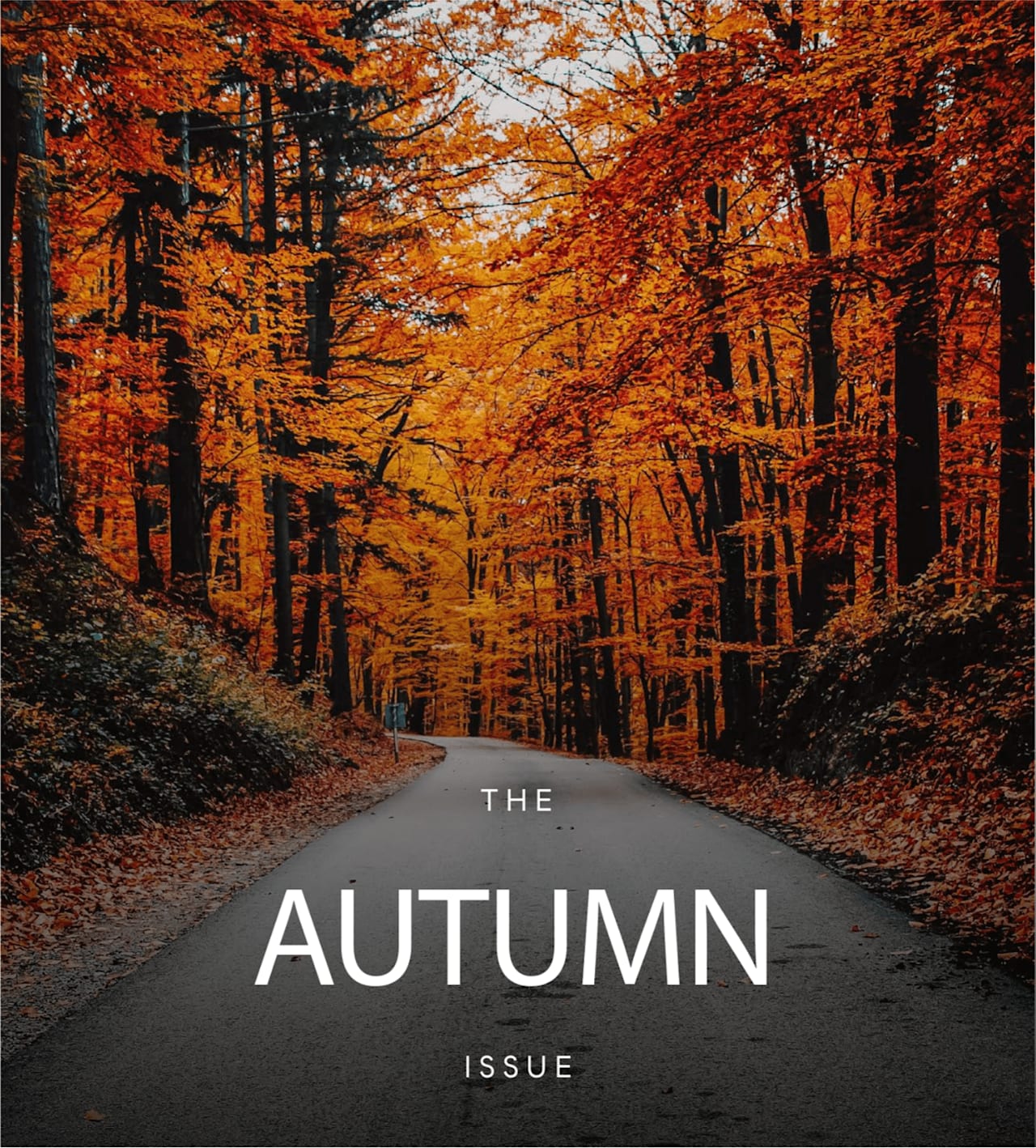 Autumn 2023 Newsletter