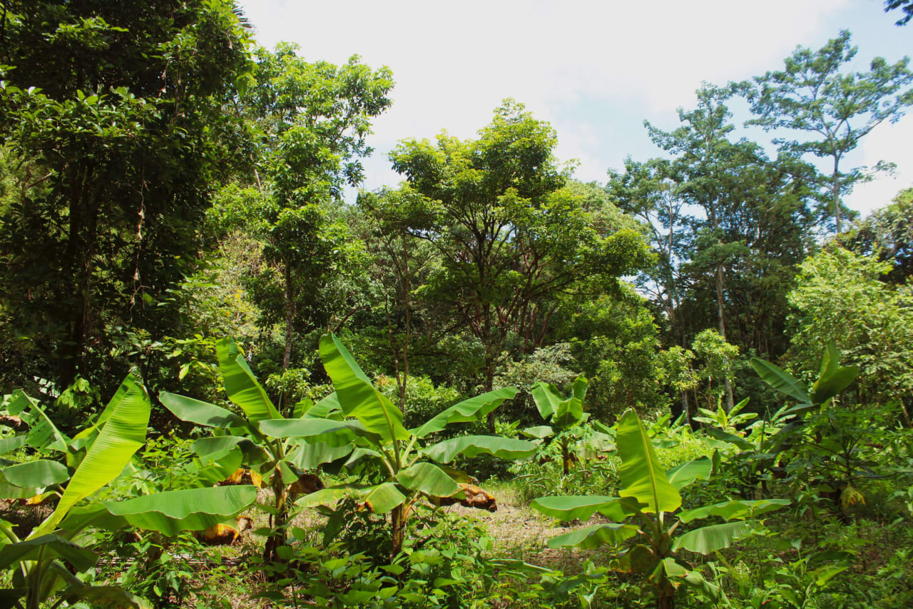 Wildlife Reserve Farm in Chontales.