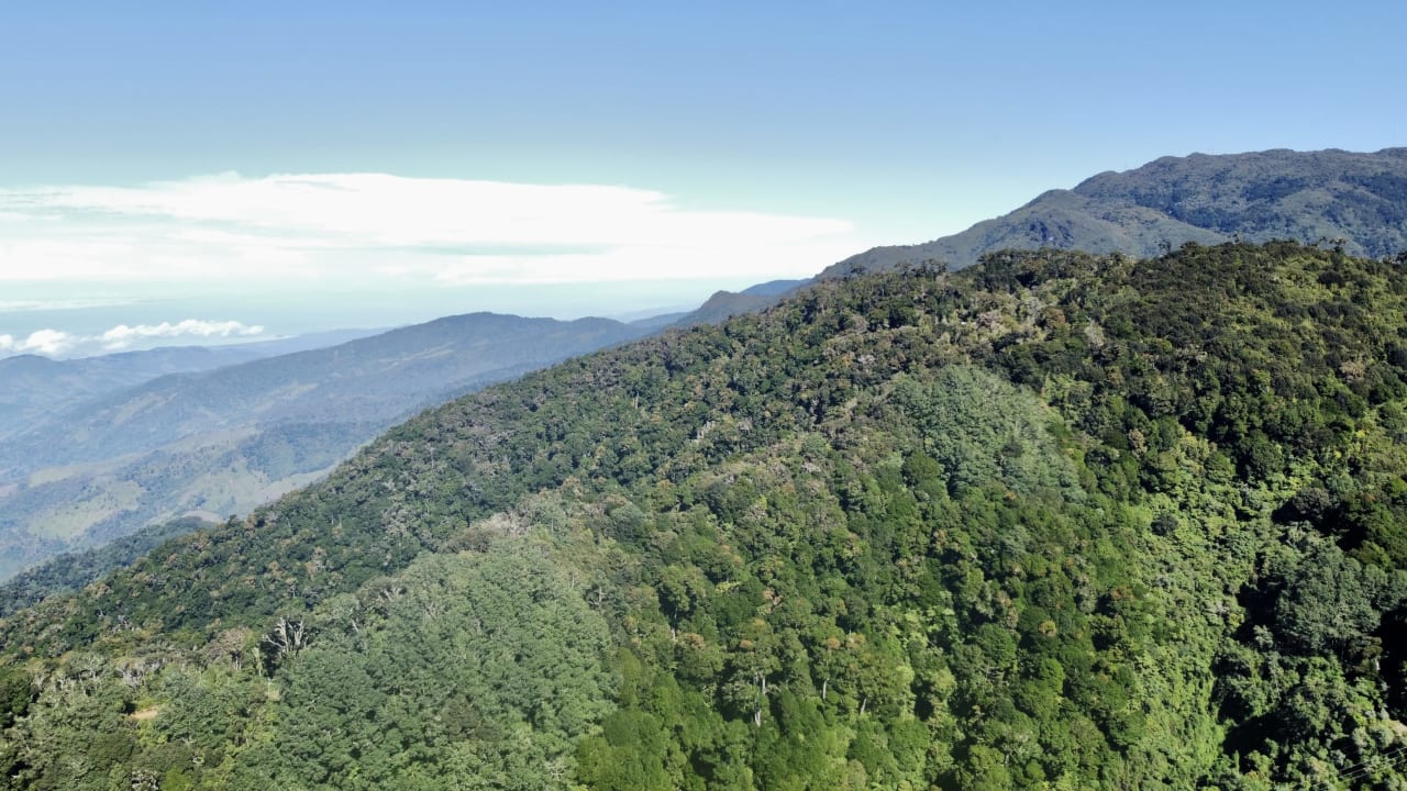 Conservation Style Land in Cerro de La Muerte with one Building Site