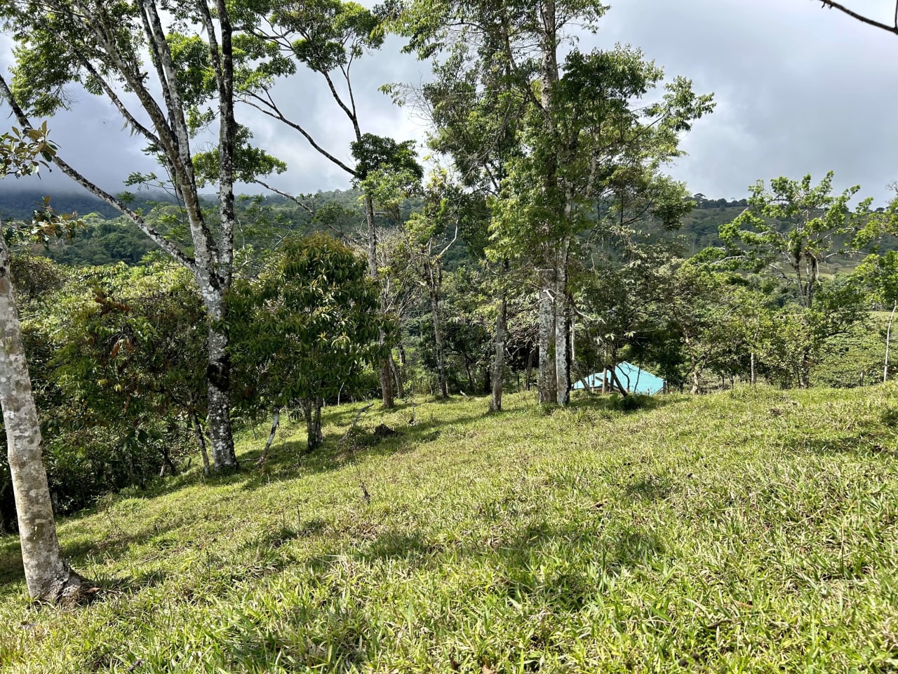 Hidden Gem: Serene Farm Retreat with Majestic Views in Costa Rica
